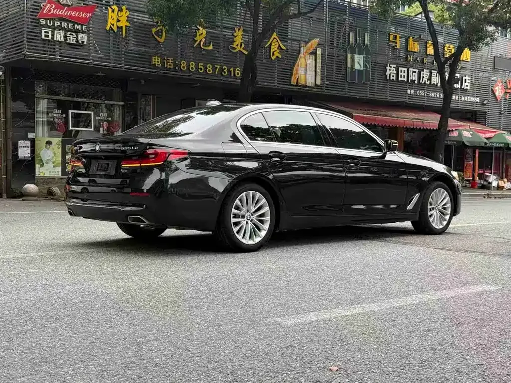 BMW 5 Series New Energy 2021 из CN, фото 5