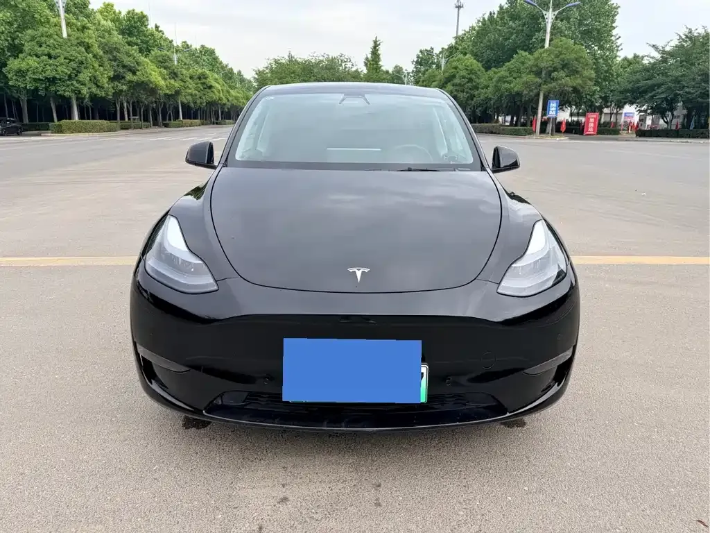 Tesla Model Y — фото 3