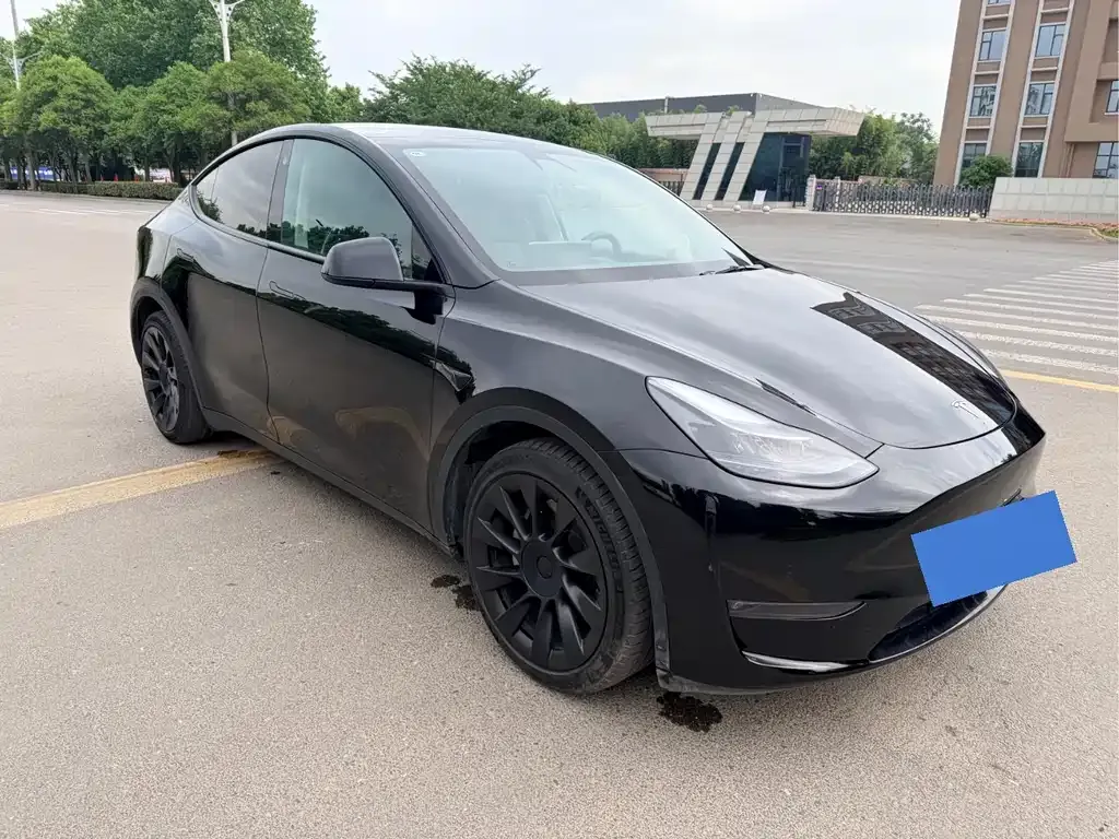 Tesla Model Y — фото 8