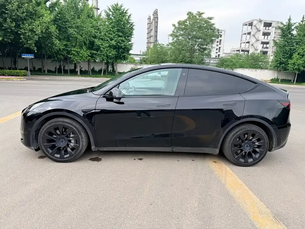 Tesla Model Y — фото 9