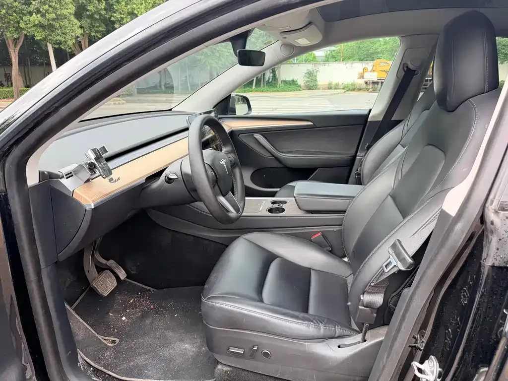 Tesla Model Y — фото 2