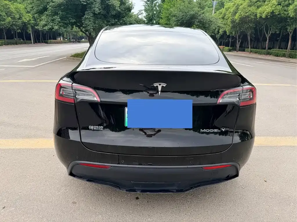 Tesla Model Y — фото 4