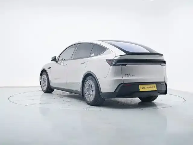Tesla Model Y L 2025 из CN, фото 4