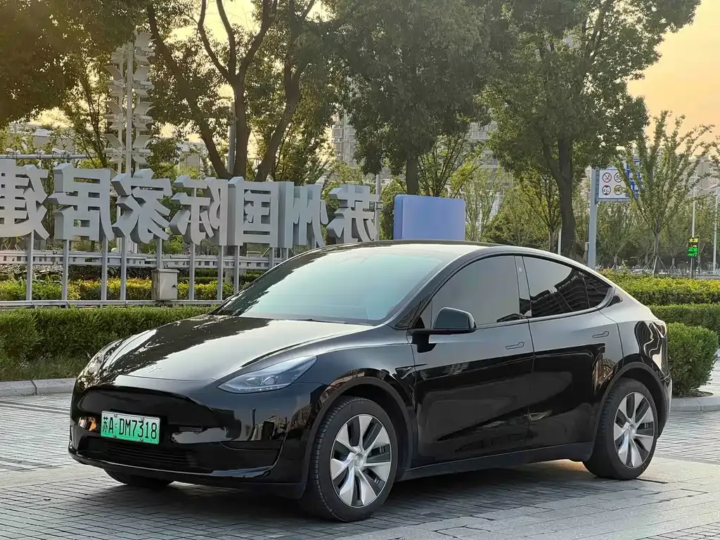Tesla Model Y — фото 1