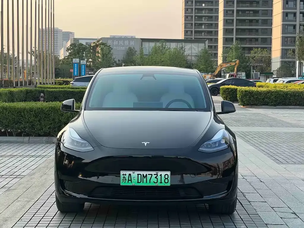 Tesla Model Y — фото 4