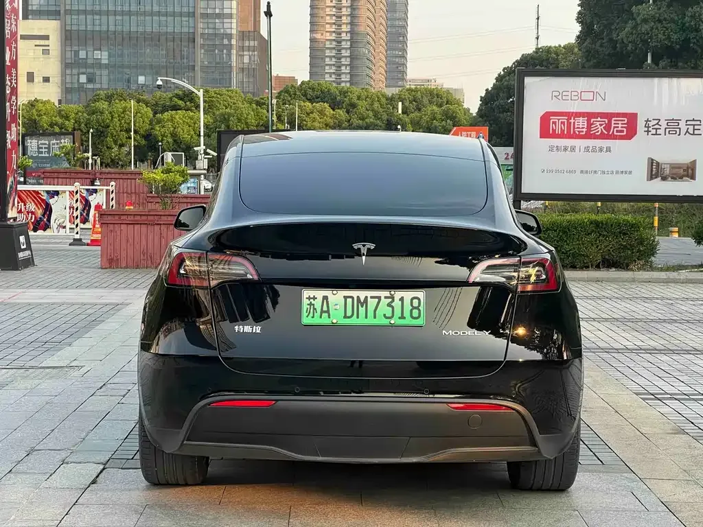 Tesla Model Y — фото 9