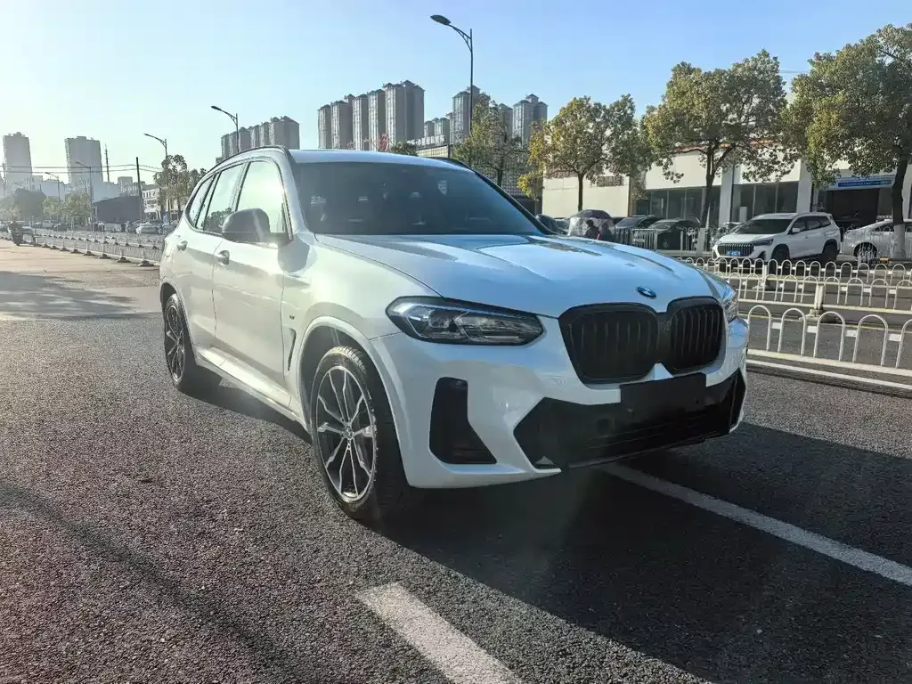 BMW X3 — фото 1