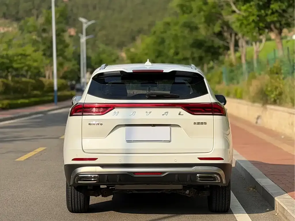 Haval H6 2022 из CN, фото 3