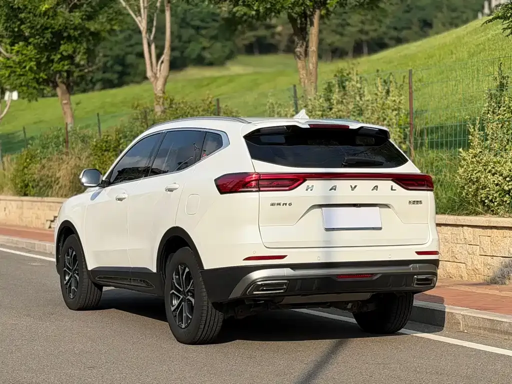 Haval H6 2022 из CN, фото 10