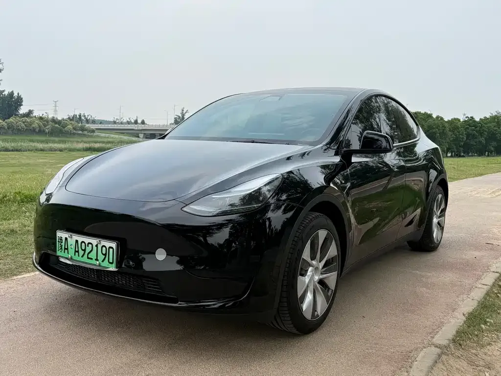 Tesla Model Y — фото 1