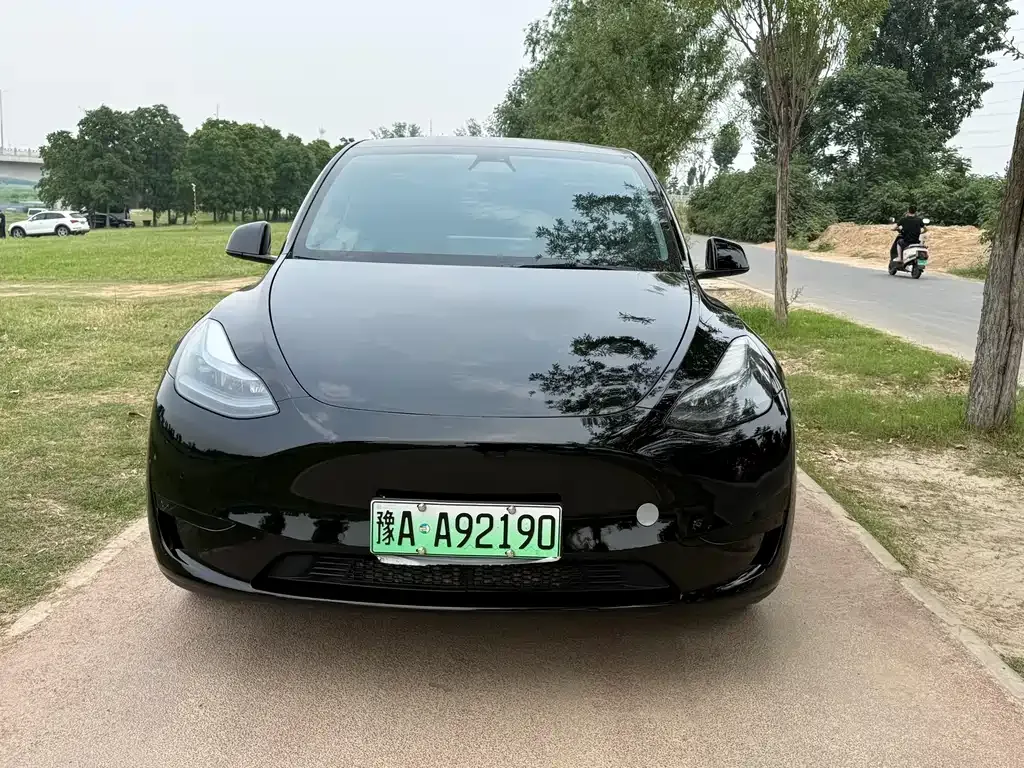Tesla Model Y — фото 8