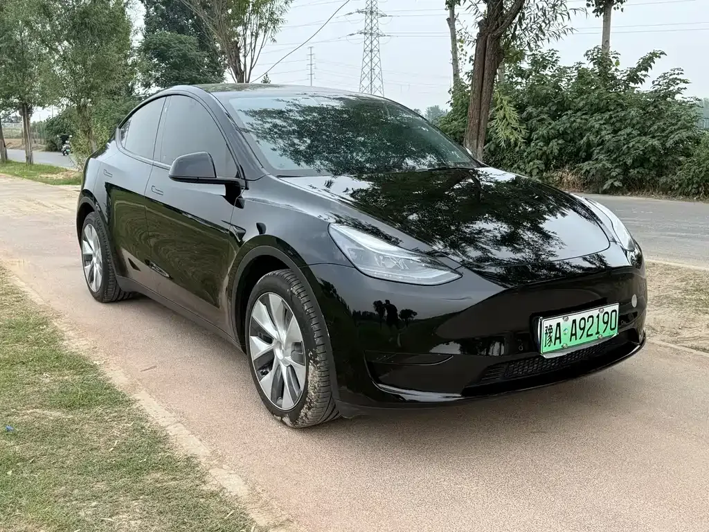 Tesla Model Y — фото 4