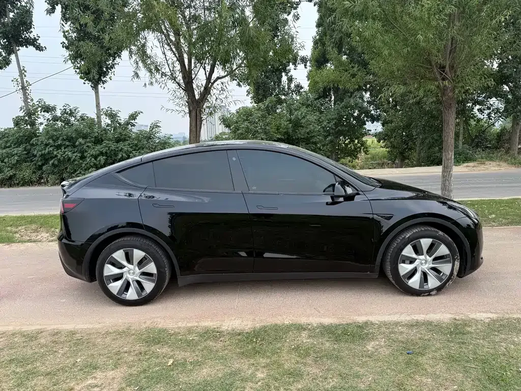 Tesla Model Y — фото 10