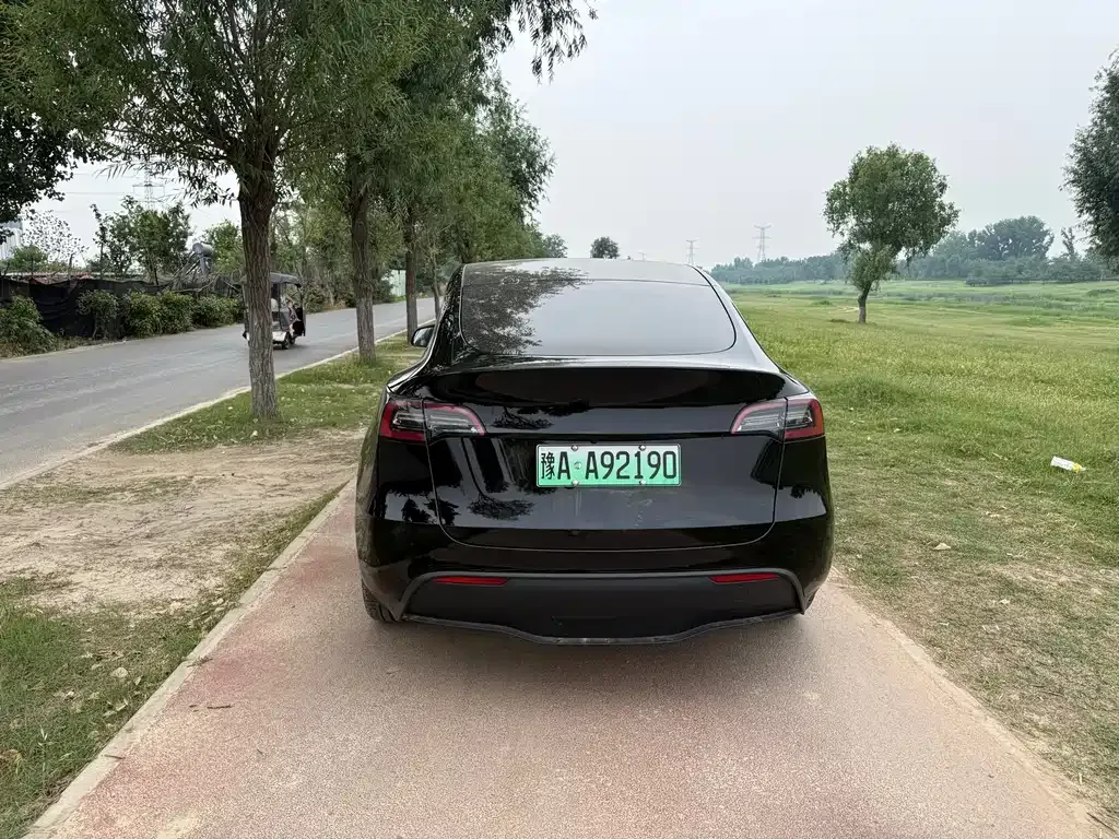 Tesla Model Y — фото 9
