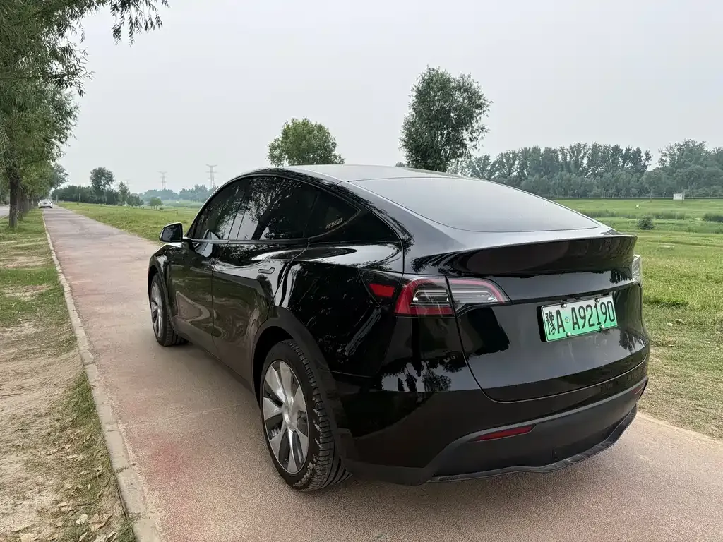 Tesla Model Y — фото 6