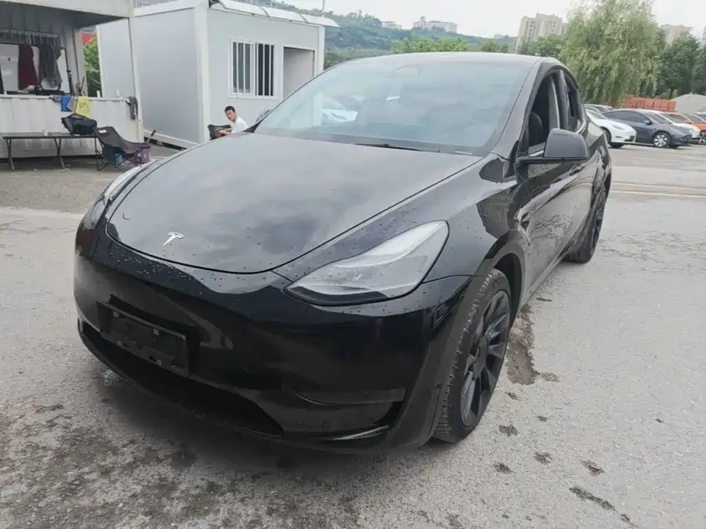 Tesla Model Y — фото 10