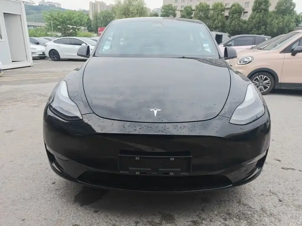 Tesla Model Y — фото 9