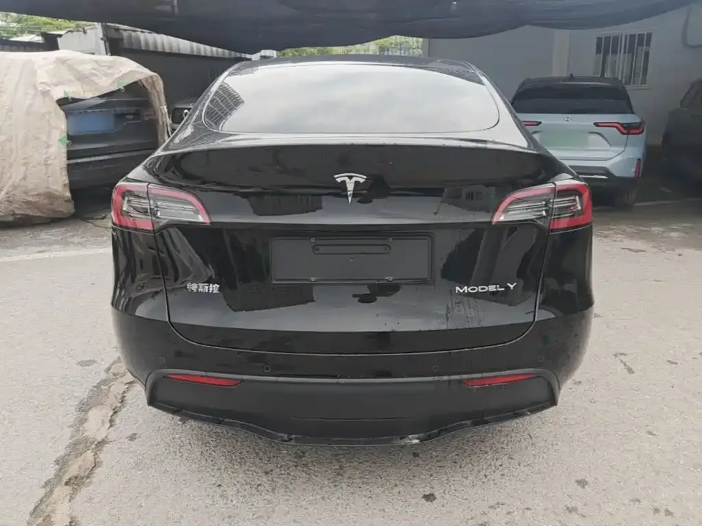 Tesla Model Y — фото 6