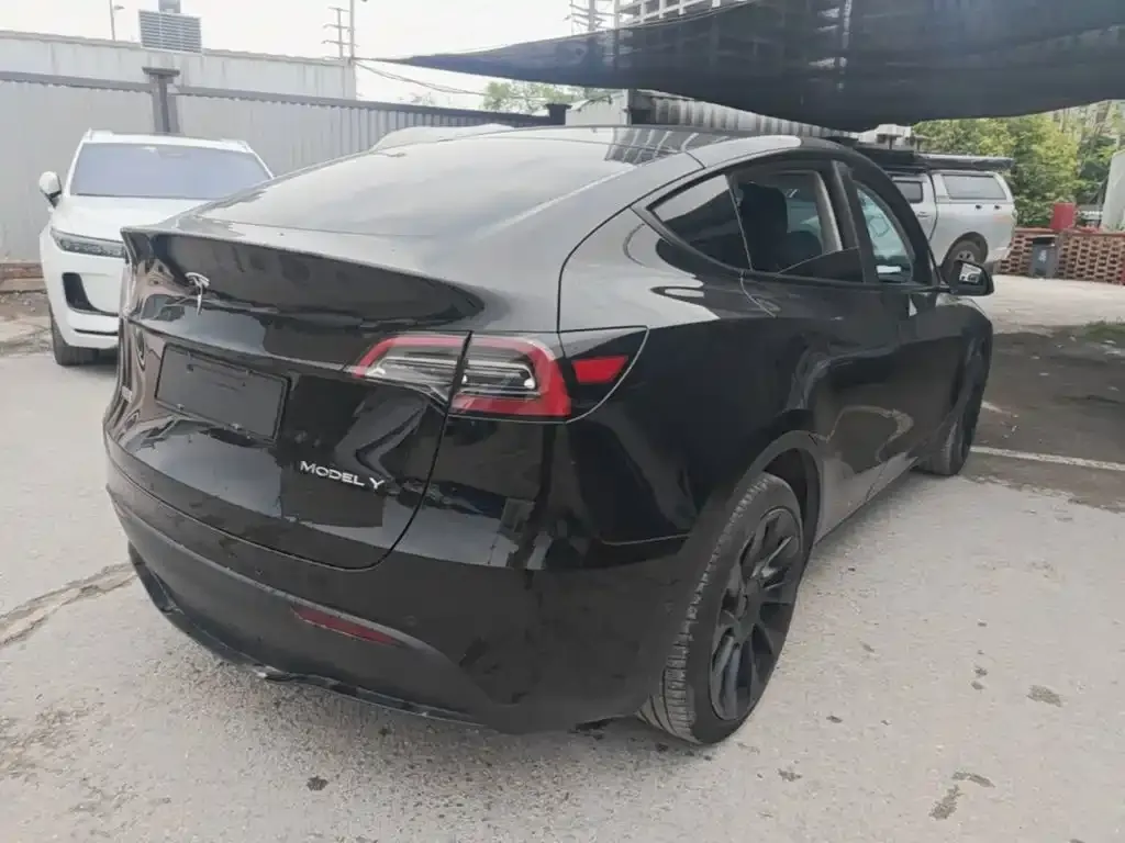 Tesla Model Y — фото 3