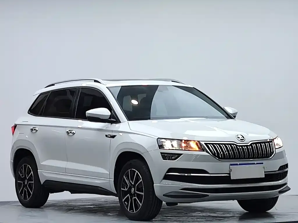 Skoda Karoq — фото 5