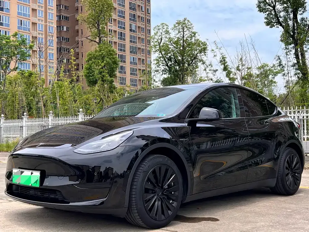 Tesla Model Y — фото 1