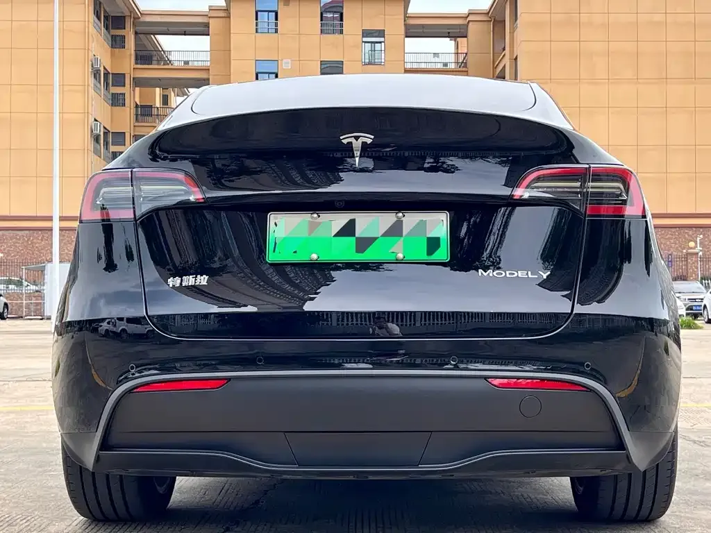 Tesla Model Y — фото 10