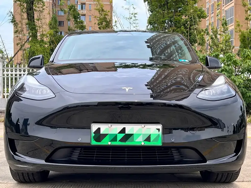 Tesla Model Y — фото 8
