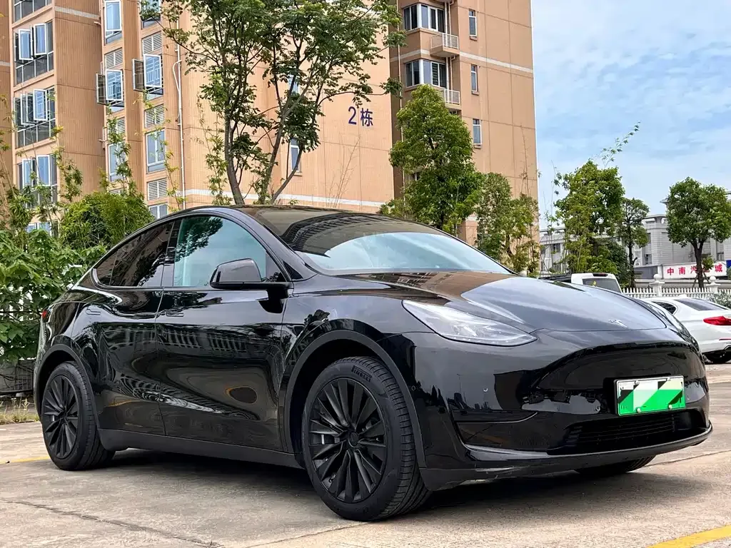 Tesla Model Y — фото 9