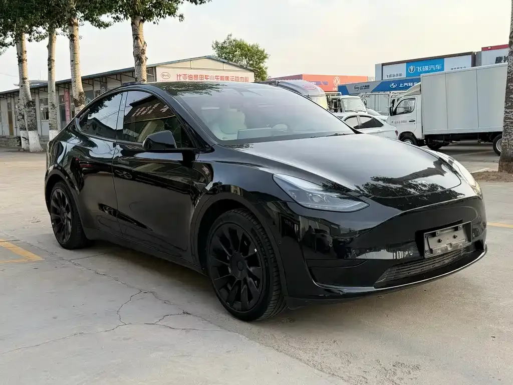Tesla Model Y — фото 2