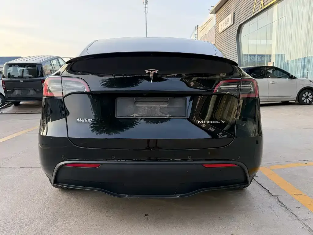 Tesla Model Y — фото 6