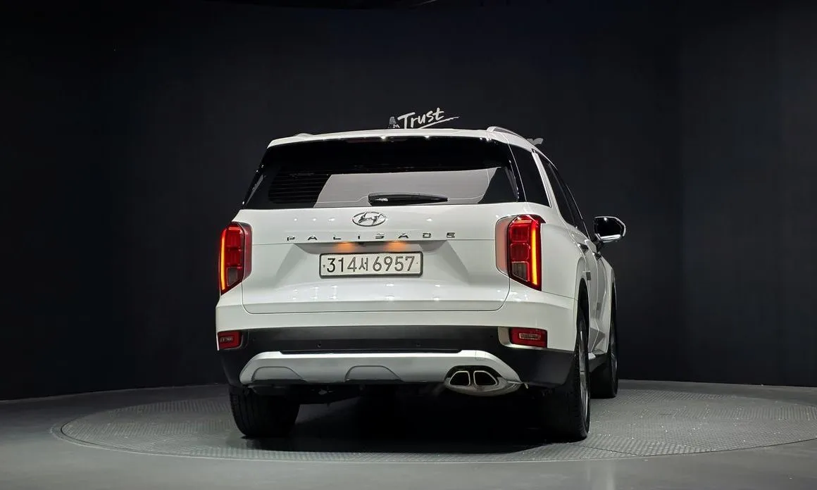 Hyundai Palisade 2022 из KR, фото 5