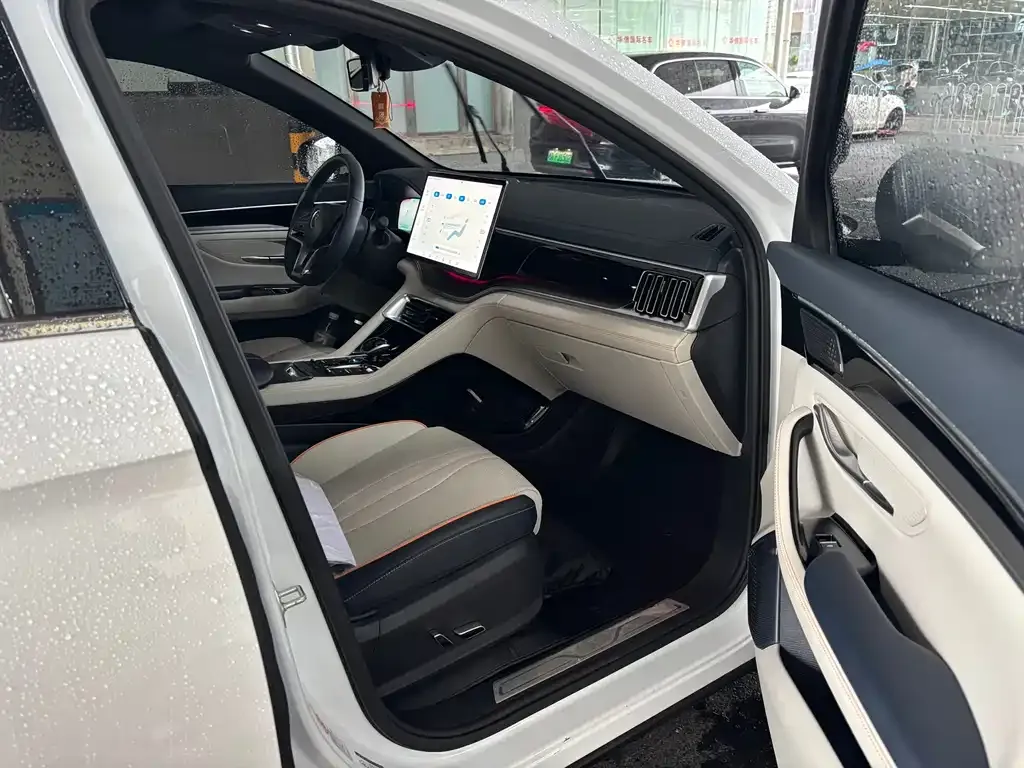 BYD PLUS New Energy — фото 4