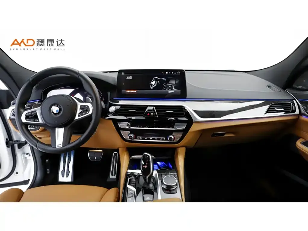 BMW 6 Series GT 2024 из CN, фото 9