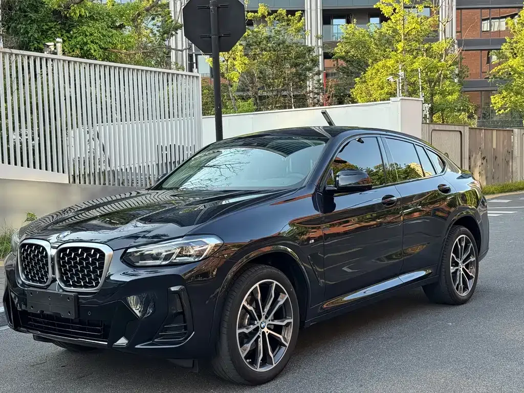 BMW X4 — фото 1