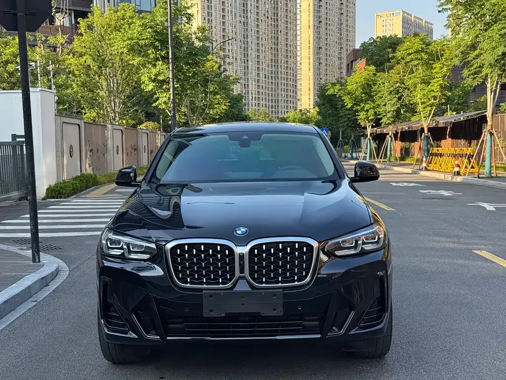 BMW X4 — фото 9