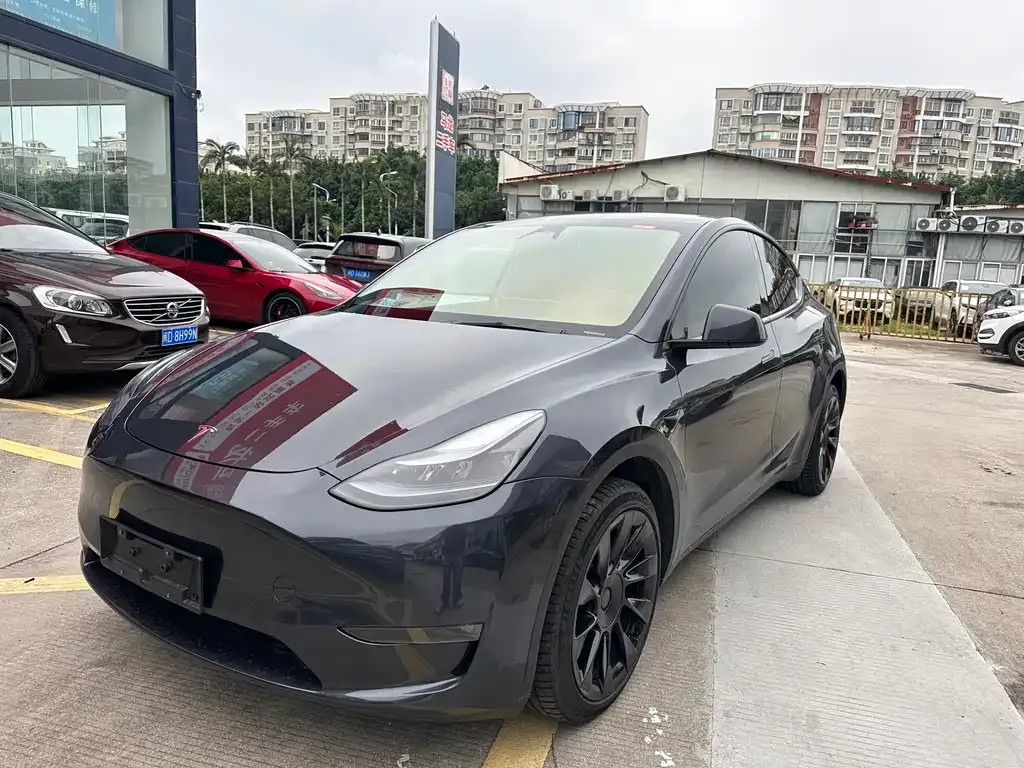 Tesla Model Y — фото 1