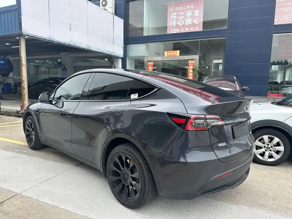 Tesla Model Y — фото 3