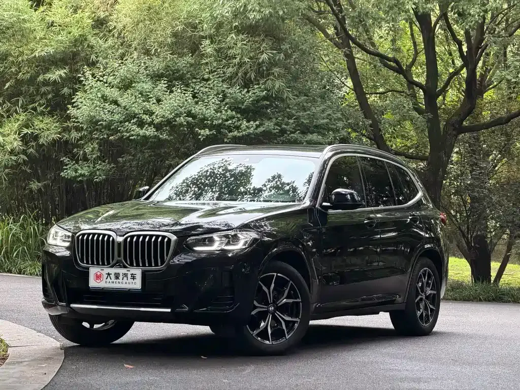 BMW X3 — фото 1