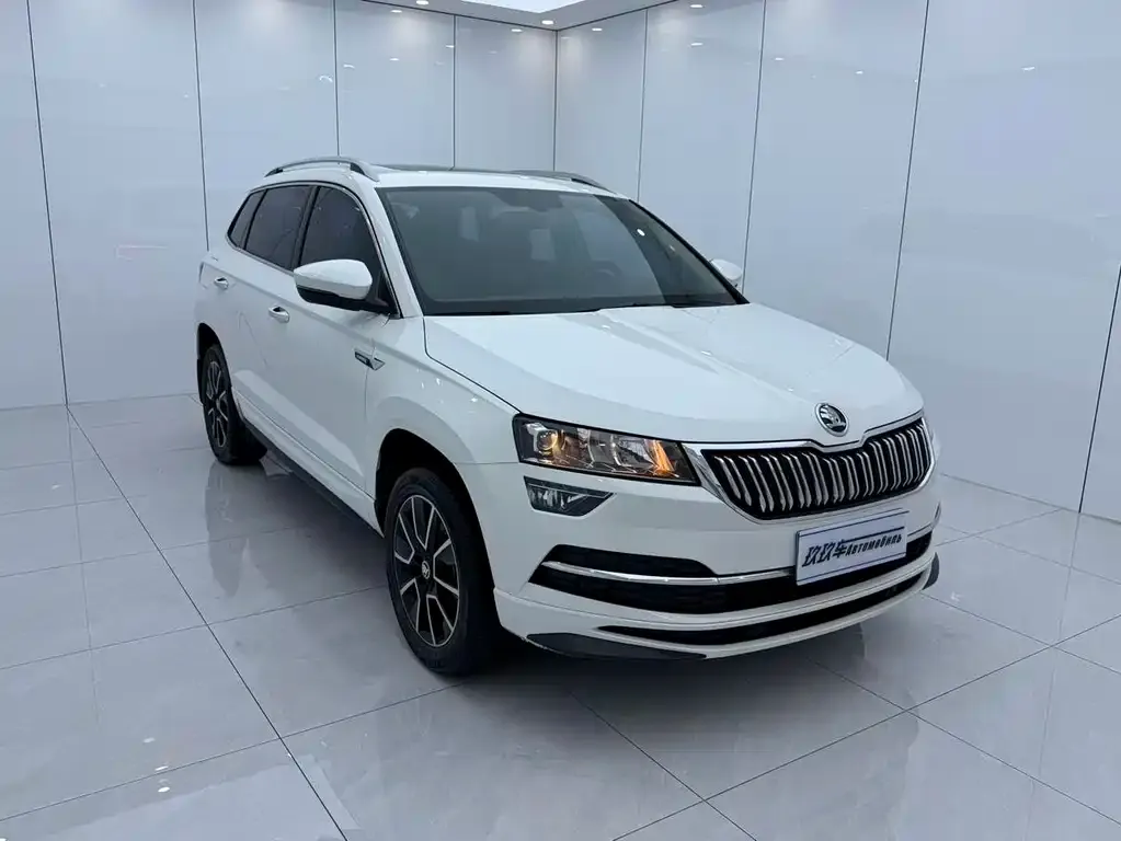 Skoda Karoq — фото 5