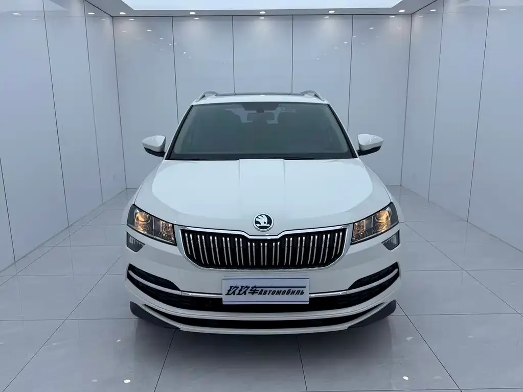 Skoda Karoq — фото 6