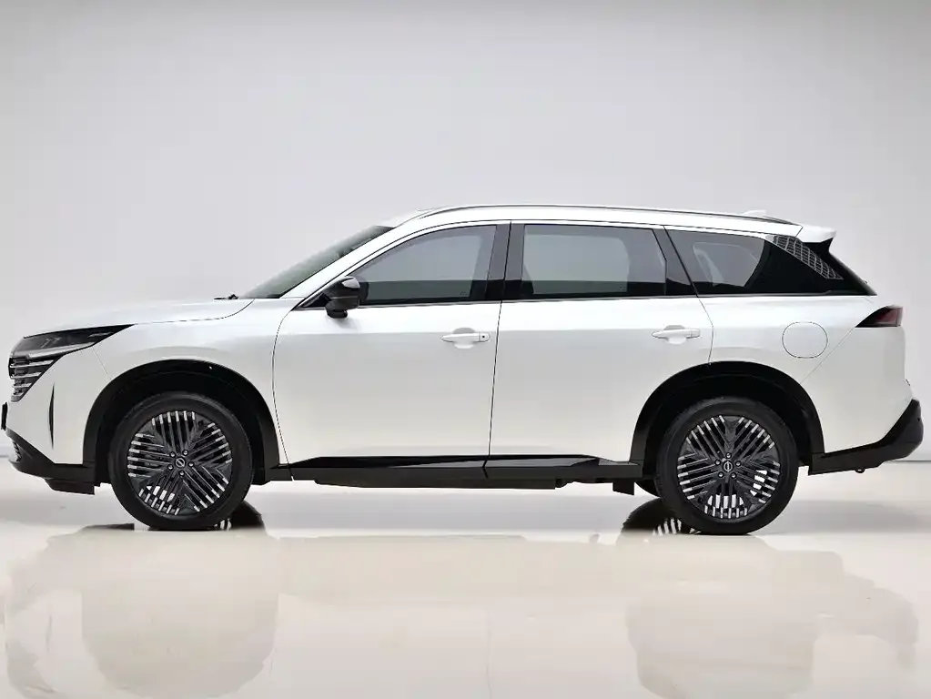 Nissan Teramont 2024 из CN, фото 2
