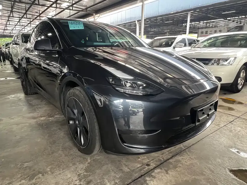 Tesla Model Y — фото 9