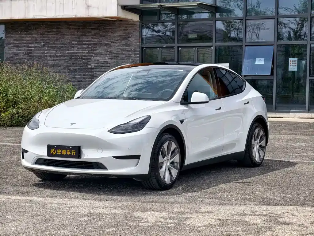 Tesla Model Y — фото 1