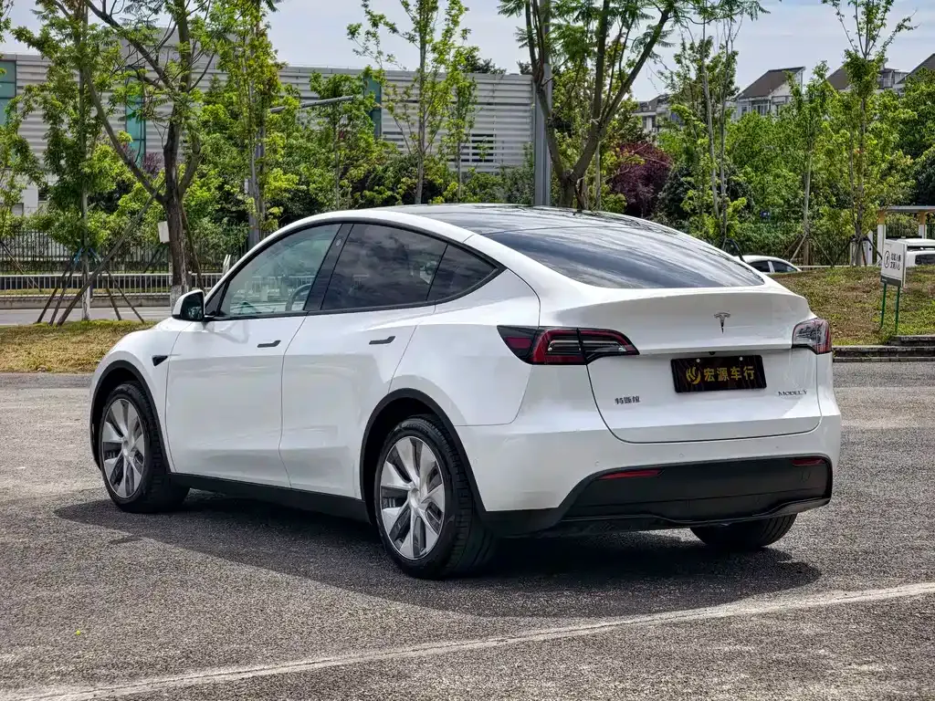Tesla Model Y — фото 9
