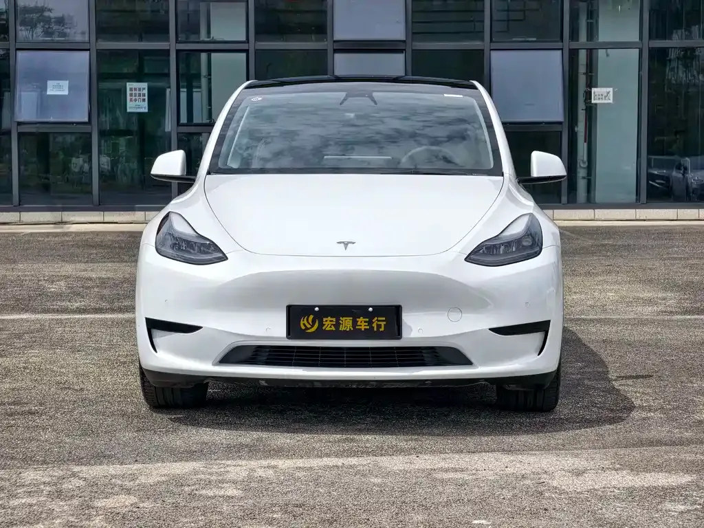 Tesla Model Y — фото 10