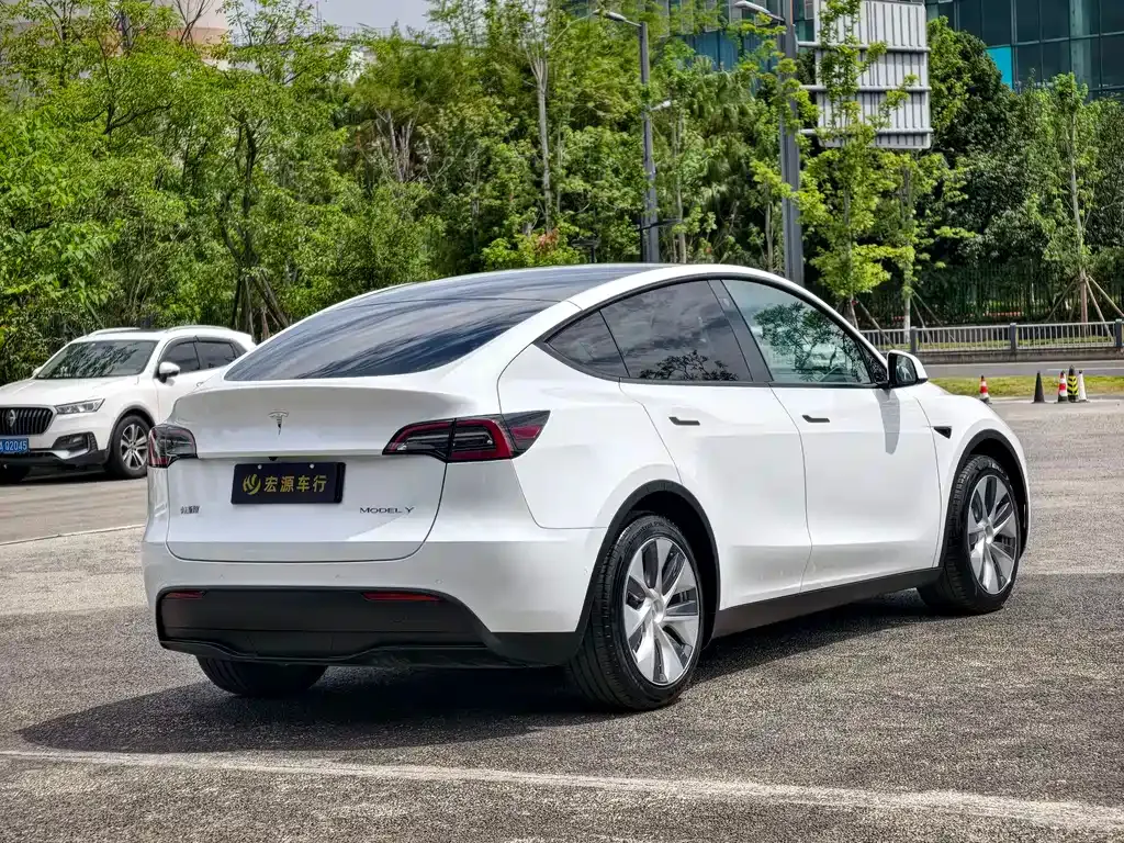 Tesla Model Y — фото 6