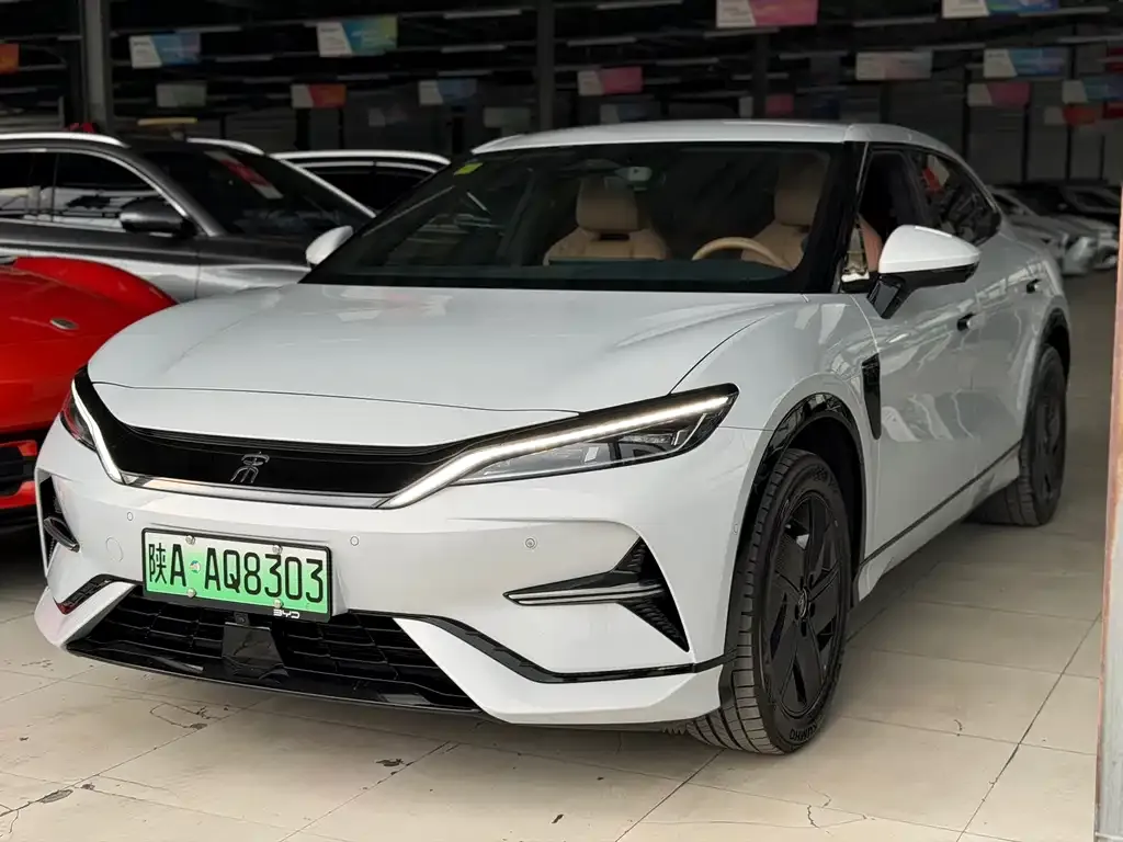 BYD L EV