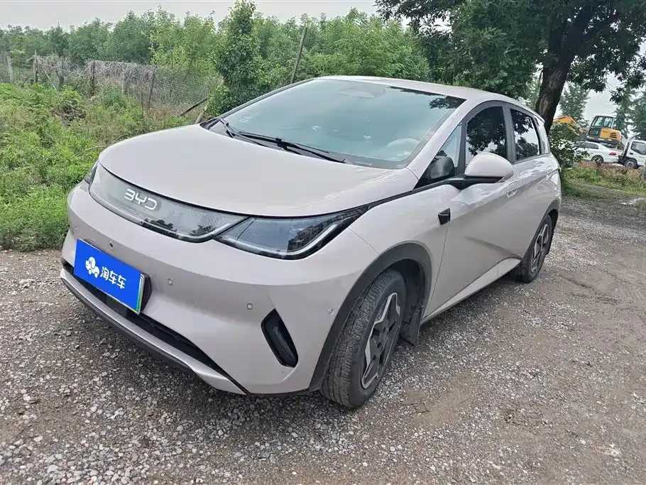 BYD Dolphin 2025 из CN, фото 1