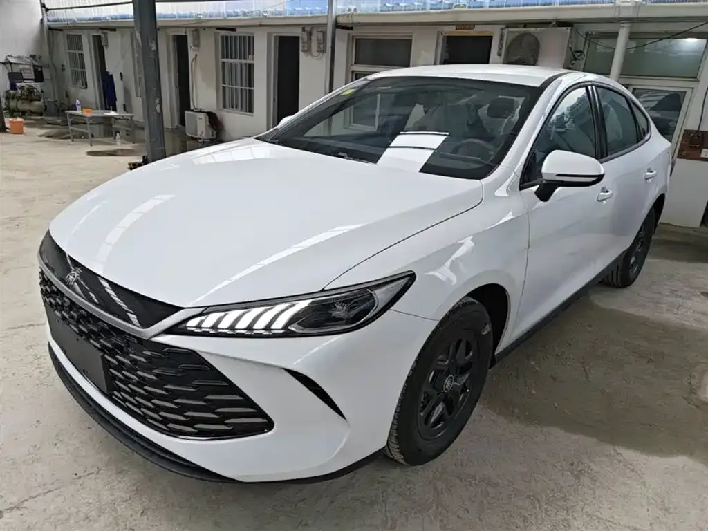 BYD Qin PLUS — фото 10