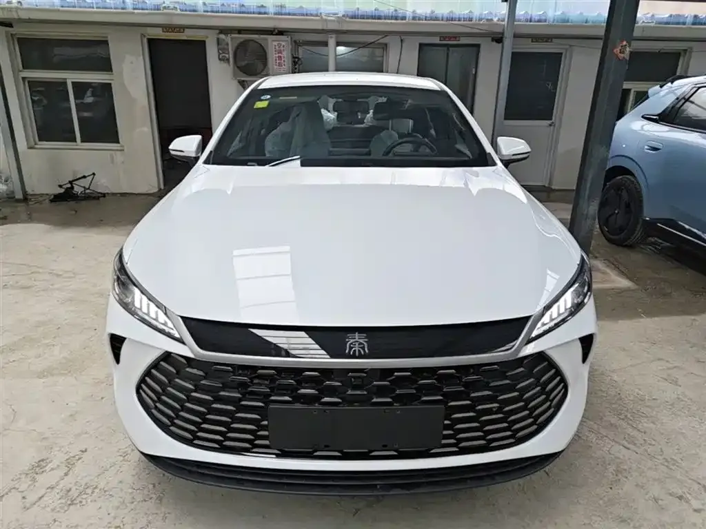 BYD Qin PLUS — фото 4
